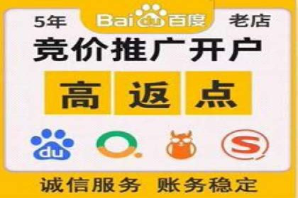 案例分析：SEM推广助力中小企业崛起